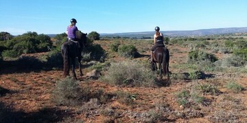 Amakhala Horse Trails 1