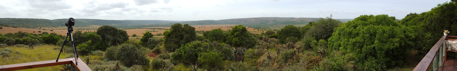 Woodbury Tented Camp View